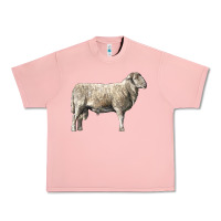 Salmon katahdin sheep Urban Heavy Tee - LillyAllenDesigns