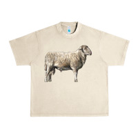Sandshell katahdin sheep Urban Heavy Tee - LillyAllenDesigns