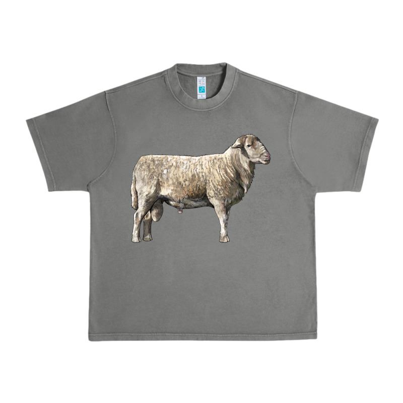 Katahdin Sheep Urban Heavy Tee by LillyAllenDesigns | Teevron