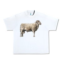 White katahdin sheep Urban Heavy Tee - LillyAllenDesigns