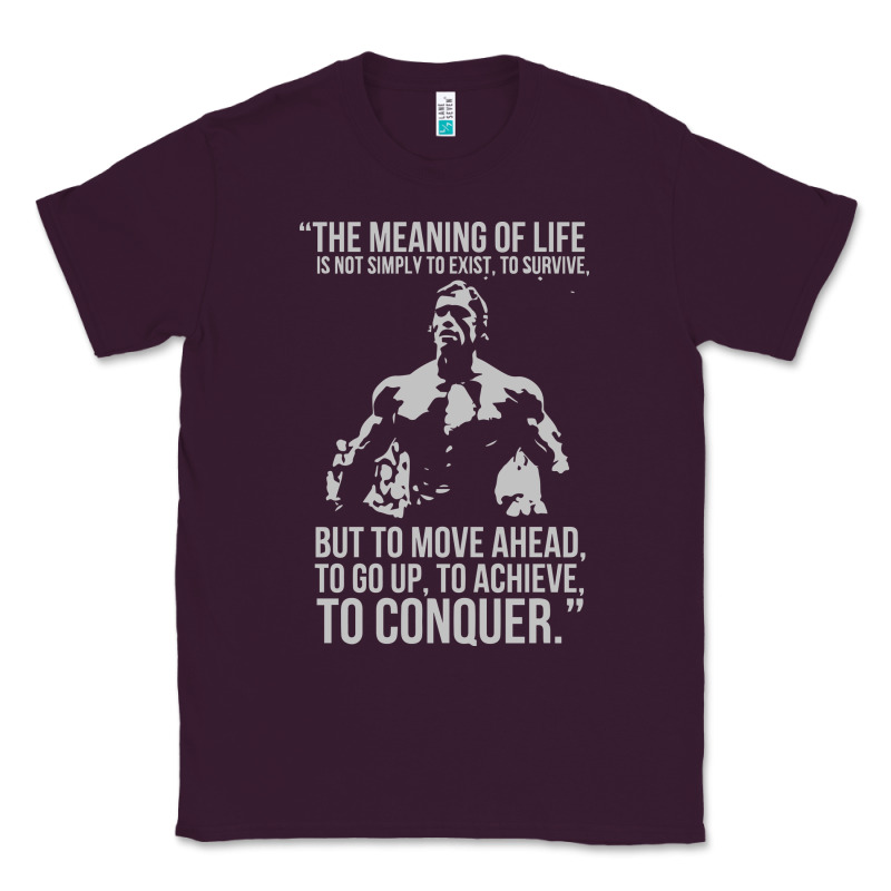 Schwarzenegger Arnie Classic Tee by linhVisuals | Teevron