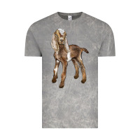 Cloud Rock Baby Nubian Goat Vintage Tee - LillyAllenDesigns