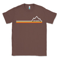 Chestnut mt. bachelor   mount bachelor Classic Tee - linhVisuals