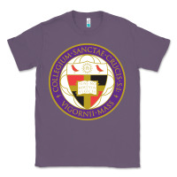 Lavender college of the holy cross Classic Tee - linhVisuals