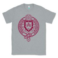 Heather Grey f0rdham university Classic Tee - linhVisuals