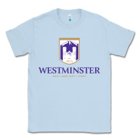 Dusty Blue westminster, sudies in utah Classic Tee - linhVisuals