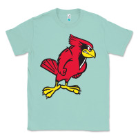 Seafoam illinois state redbirds Classic Tee - linhVisuals