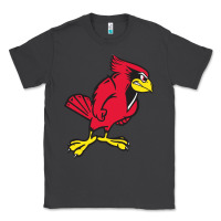 Smoke illinois state redbirds Classic Tee - linhVisuals
