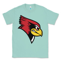 Seafoam illinois state redbirds Classic Tee - linhVisuals