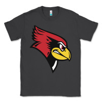 Smoke illinois state redbirds Classic Tee - linhVisuals