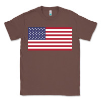 Chestnut american flag Classic Tee - linhVisuals