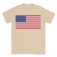 Mushroom american flag Classic Tee - linhVisuals