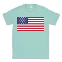 Seafoam american flag Classic Tee - linhVisuals
