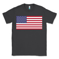 Smoke american flag Classic Tee - linhVisuals