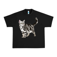 Black American Shorthair Cat Urban Heavy Tee - LillyAllenDesigns