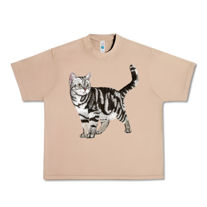American Shorthair Cat Urban Heavy Tee by LillyAllenDesigns | Teevron