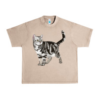 French Oak American Shorthair Cat Urban Heavy Tee - LillyAllenDesigns
