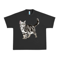 Pigment Black American Shorthair Cat Urban Heavy Tee - LillyAllenDesigns