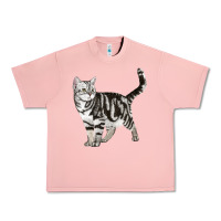Salmon American Shorthair Cat Urban Heavy Tee - LillyAllenDesigns