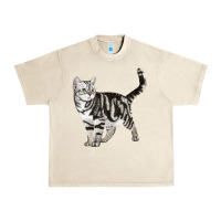 Sandshell American Shorthair Cat Urban Heavy Tee - LillyAllenDesigns