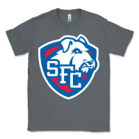 Charcoal Heather st. francis brooklyn terriers Classic Tee - linhVisuals