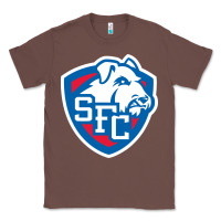 Chestnut st. francis brooklyn terriers Classic Tee - linhVisuals