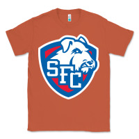 Copper st. francis brooklyn terriers Classic Tee - linhVisuals