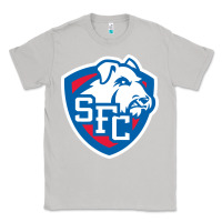 Moon Dust st. francis brooklyn terriers Classic Tee - linhVisuals