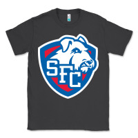 Smoke st. francis brooklyn terriers Classic Tee - linhVisuals
