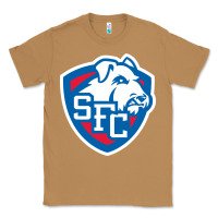 Toasted Coconut st. francis brooklyn terriers Classic Tee - linhVisuals