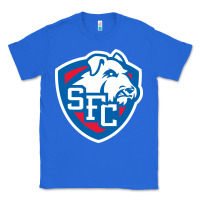 True Royal st. francis brooklyn terriers Classic Tee - linhVisuals