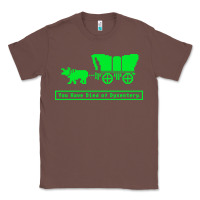 Chestnut you have died of dysentery oregon trail Classic Tee - linhVisuals