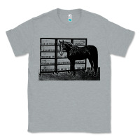 Heather Grey beautiful jim key  performing horse Classic Tee - linhVisuals
