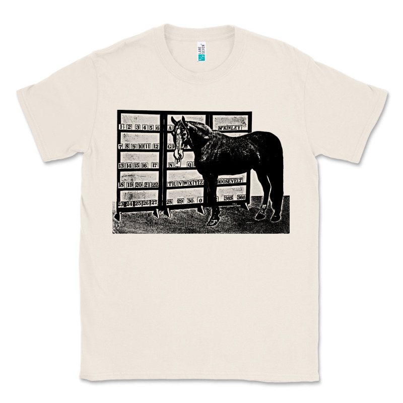 Beautiful Jim Key  Performing Horse Classic Tee by linhVisuals | Teevron