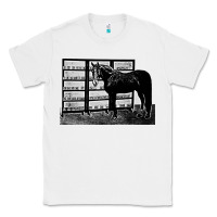 White beautiful jim key  performing horse Classic Tee - linhVisuals