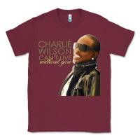 Burgundy Charlie Wilson Classic Tee - linhVisuals