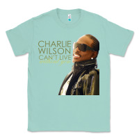 Seafoam Charlie Wilson Classic Tee - linhVisuals