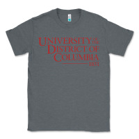 Charcoal Heather University of the District of Columbia Classic Tee - linhVisuals