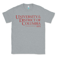 Heather Grey University of the District of Columbia Classic Tee - linhVisuals