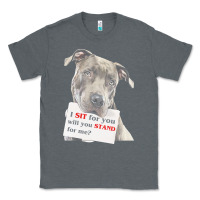 Charcoal Heather pitbull t  shirt i sit for you will you stand for me t  shirt Classic Tee - linhVisuals