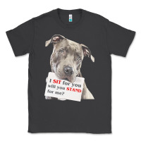 Smoke pitbull t  shirt i sit for you will you stand for me t  shirt Classic Tee - linhVisuals