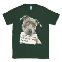 Sports Green pitbull t  shirt i sit for you will you stand for me t  shirt Classic Tee - linhVisuals