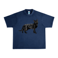 Navy Bombay Cat Urban Heavy Tee - LillyAllenDesigns