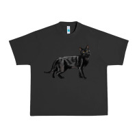 Pigment Black Bombay Cat Urban Heavy Tee - LillyAllenDesigns