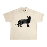 Sandshell Bombay Cat Urban Heavy Tee - LillyAllenDesigns