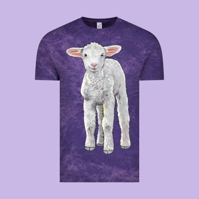 Merino Wool Baby Sheep Vintage Tee Designed By Lillyallendesigns