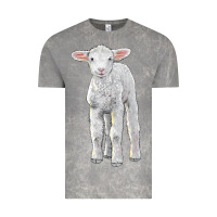 Cloud Rock merino wool baby sheep Vintage Tee - LillyAllenDesigns