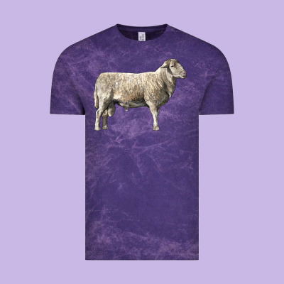 Katahdin Sheep Vintage Tee Designed By Lillyallendesigns