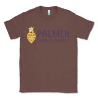 Chestnut college of chiropractic Classic Tee - linhVisuals