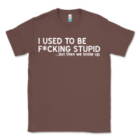 Chestnut i used to be f cking stupid Classic Tee - linhVisuals